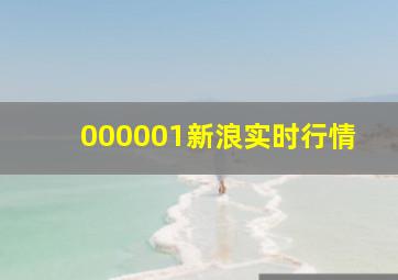 000001新浪实时行情