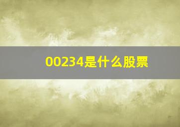 00234是什么股票