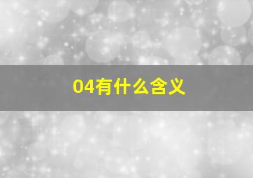 04有什么含义