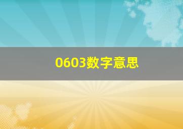 0603数字意思