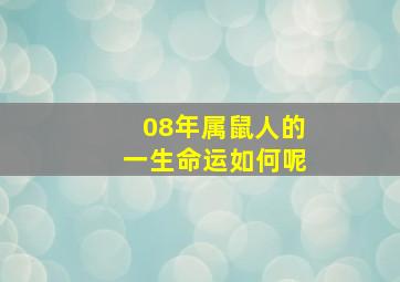 08年属鼠人的一生命运如何呢