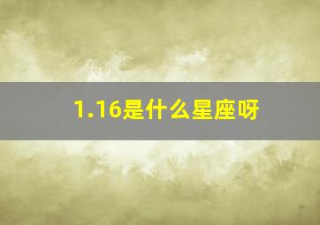 1.16是什么星座呀