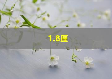 1.8厘