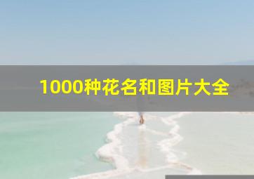 1000种花名和图片大全