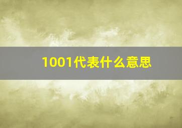 1001代表什么意思