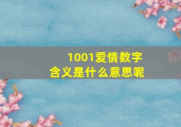 1001爱情数字含义是什么意思呢