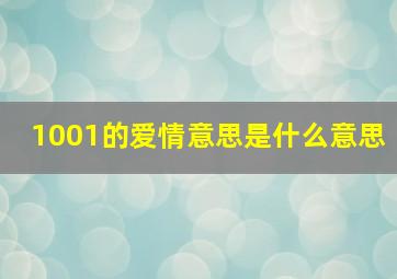 1001的爱情意思是什么意思