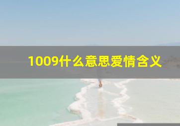 1009什么意思爱情含义