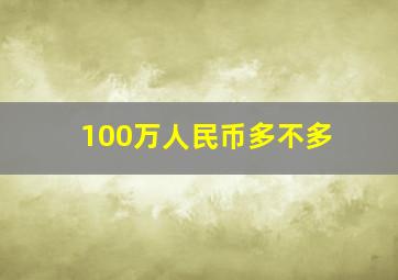 100万人民币多不多