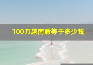 100万越南盾等于多少钱