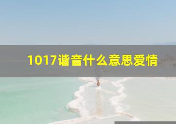 1017谐音什么意思爱情