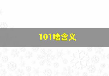 101啥含义