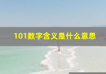 101数字含义是什么意思