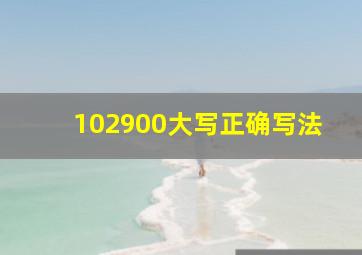 102900大写正确写法