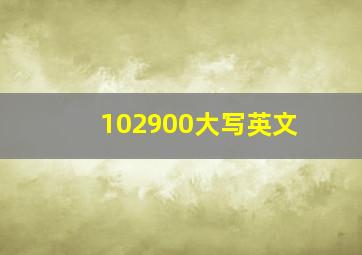 102900大写英文