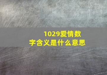 1029爱情数字含义是什么意思