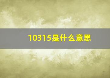 10315是什么意思