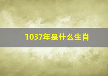 1037年是什么生肖