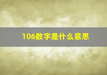 106数字是什么意思