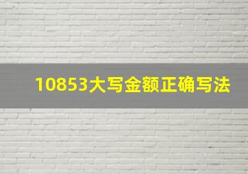 10853大写金额正确写法