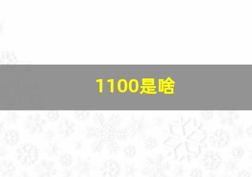 1100是啥