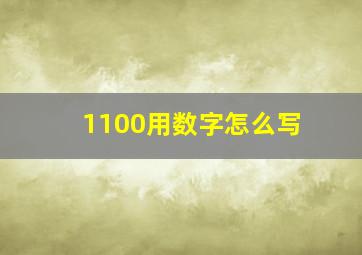 1100用数字怎么写