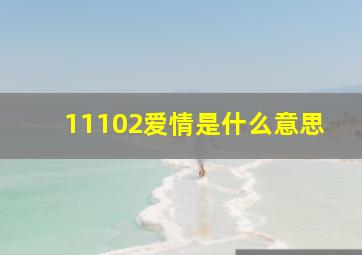 11102爱情是什么意思