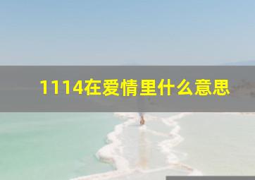 1114在爱情里什么意思