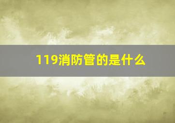 119消防管的是什么