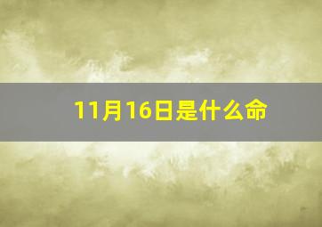 11月16日是什么命