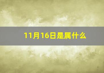 11月16日是属什么