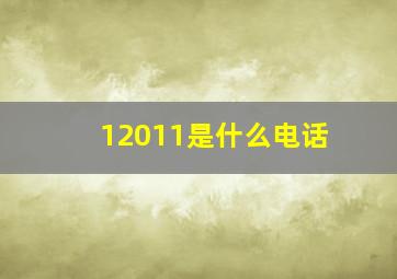 12011是什么电话