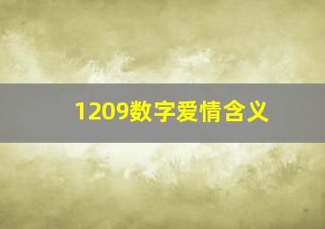 1209数字爱情含义