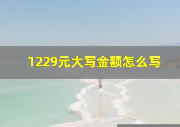 1229元大写金额怎么写