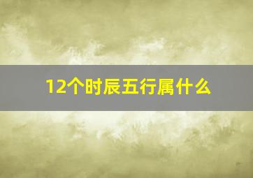 12个时辰五行属什么