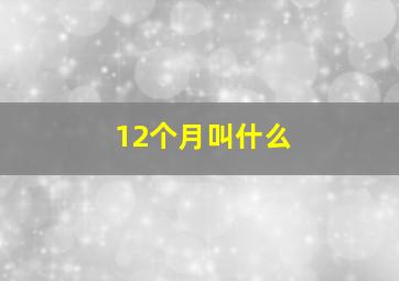 12个月叫什么