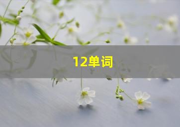 12单词