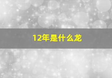 12年是什么龙