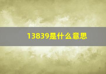 13839是什么意思