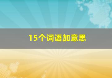 15个词语加意思