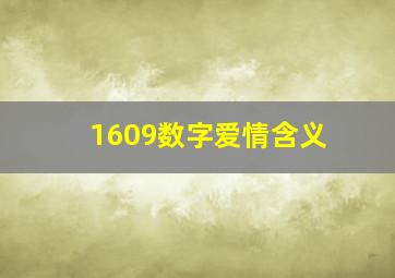 1609数字爱情含义