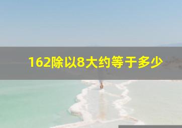 162除以8大约等于多少