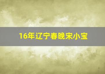 16年辽宁春晚宋小宝