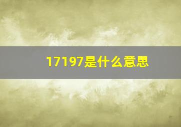 17197是什么意思