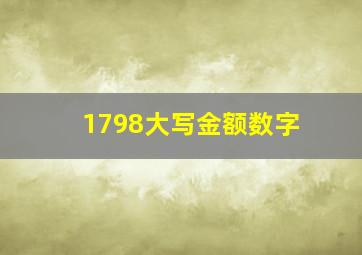 1798大写金额数字