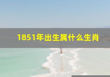 1851年出生属什么生肖