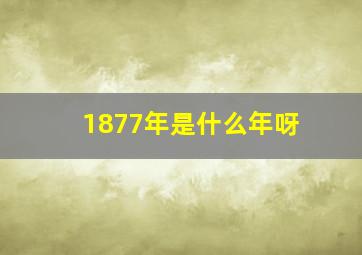 1877年是什么年呀