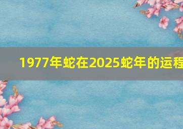 1977年蛇在2025蛇年的运程