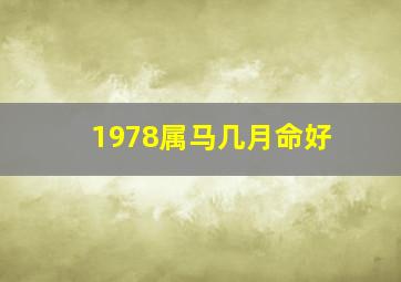 1978属马几月命好