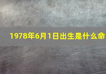 1978年6月1日出生是什么命